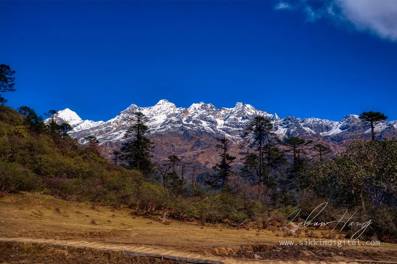 Panoramic view of Phedang in West Sikkim with snow-dusted Himalayan peaks, alpine meadows, and tall conifer trees under a deep blue sky.