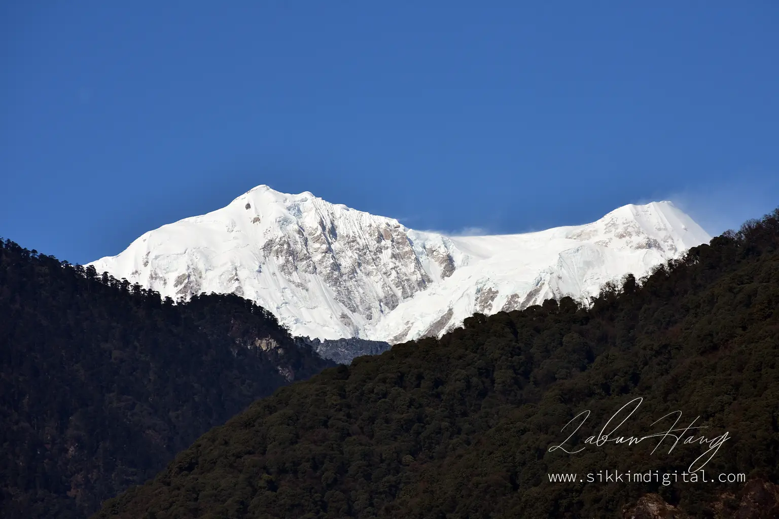 Snow-covered Kabru North and Kabru South peaks viewed from Yuksom, Sikkim, rising above dense forested ridges under a clear blue Himalayan sky.